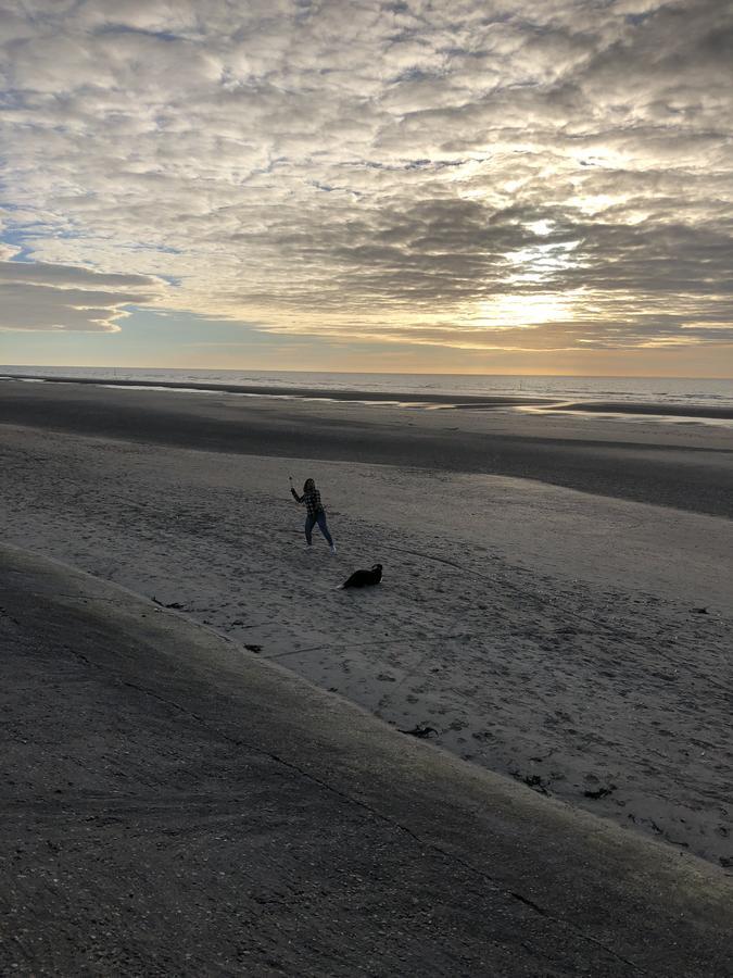 Villa Mowgli De Panne Bagian luar foto